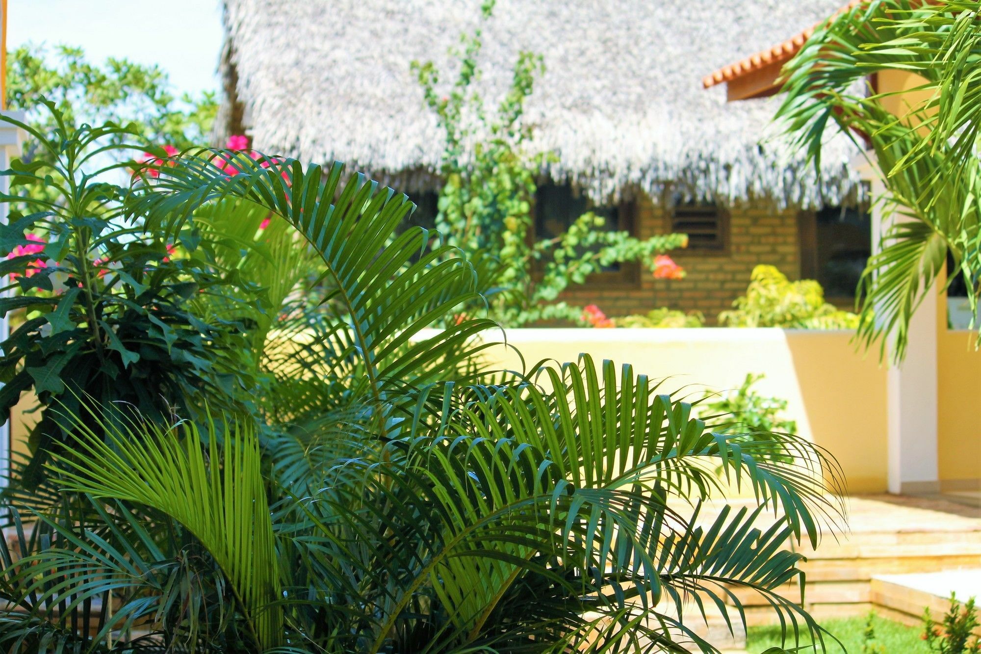 Hotel Villa Beija Flor Jijoca de Jericoacoara Exteriör bild