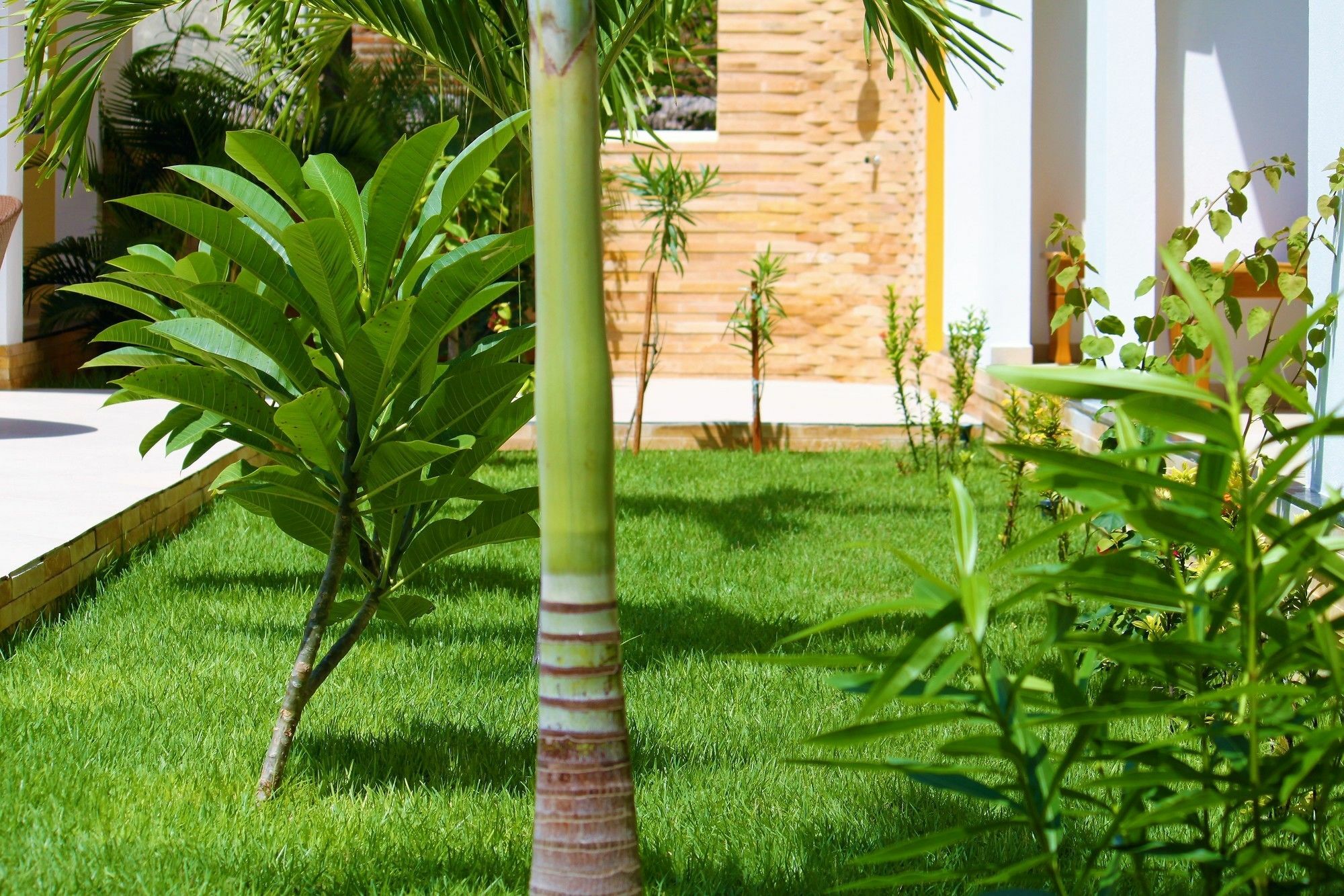 Hotel Villa Beija Flor Jijoca de Jericoacoara Exteriör bild